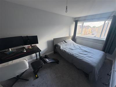 Picture 11